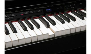 Roland DP-90SE-PE цифровое пианино